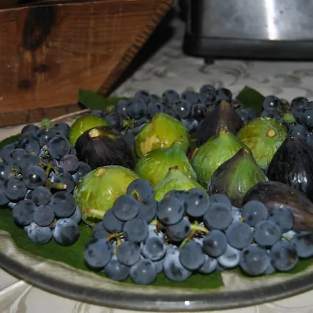 住宿加早餐酒店 马斯内德尔康福拉特住宿加早餐旅馆 巴达卢科